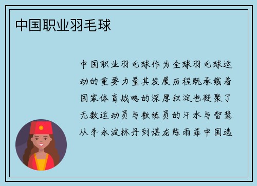 中国职业羽毛球